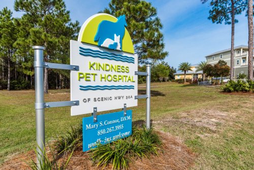 West 30a office sign - Kindness Pet Hospital in Santa Rosa Beach Florida