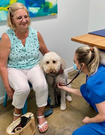 Pet technician checking dogs heart rate - Kindness Pet Hospital in Santa Rosa Beach Florida