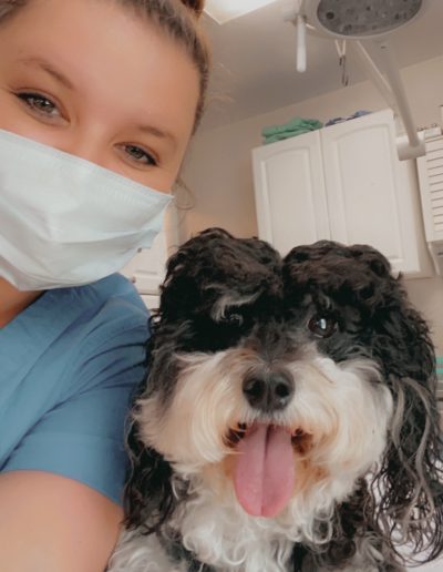 Vet technician taking care of your dog - Kindness Pet Hospital in Santa Rosa Beach Florida