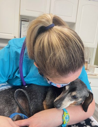 Vet kissing Dachshund - Kindness Pet Hospital in Santa Rosa Beach Florida