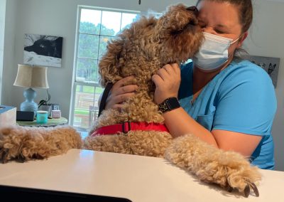 Vet technician getting kisses from a Goldendoodle - Kindness Pet Hospital in Santa Rosa Beach Florida