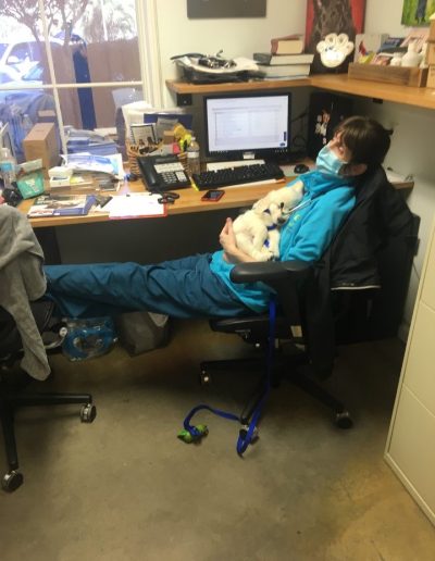 Vet sitting at her desk holding wounded animal - Kindness Pet Hospital in Santa Rosa Beach Florida