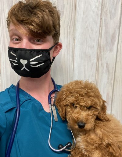 Vet technician holding Goldendoodle puppy - Kindness Pet Hospital in Santa Rosa Beach Florida