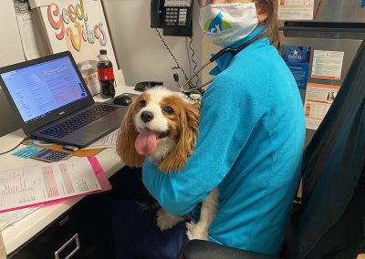 Vet sitting at her desk with King Charles Spaniel Dog - Kindness Pet Hospital in Santa Rosa Beach Florida