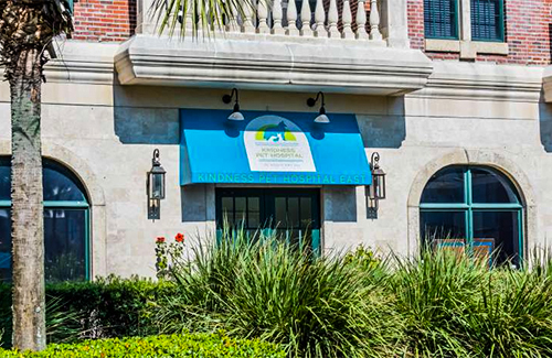 Seacrest Florida office location - Kindness Pet Hospital in Santa Rosa Beach Florida