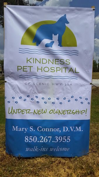 Kindness Pet Hospital