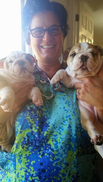 Kindness Pet Hospital vet holding dogs