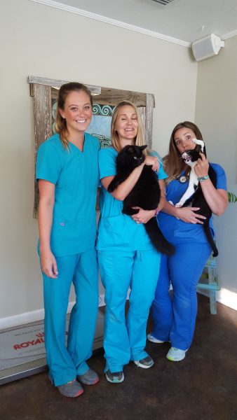 Kindness Pet Hospital vet techs