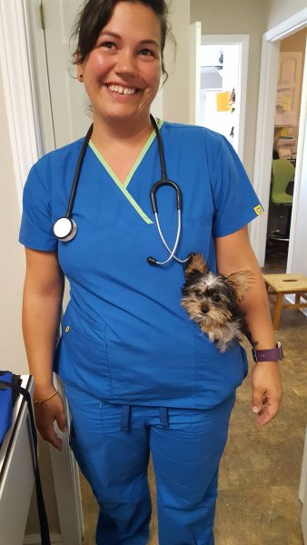 Kindness Pet Hospital dog