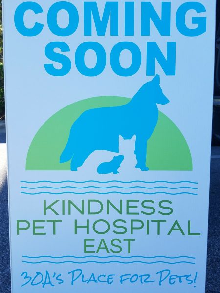 Kindness Pet Hospital east sign