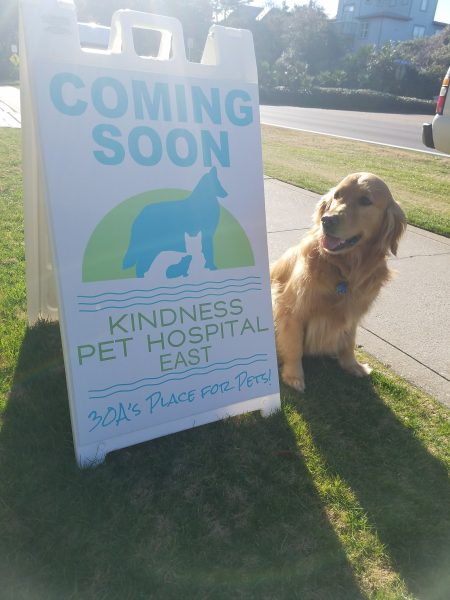 Kindness Pet Hospital east coming soon sign