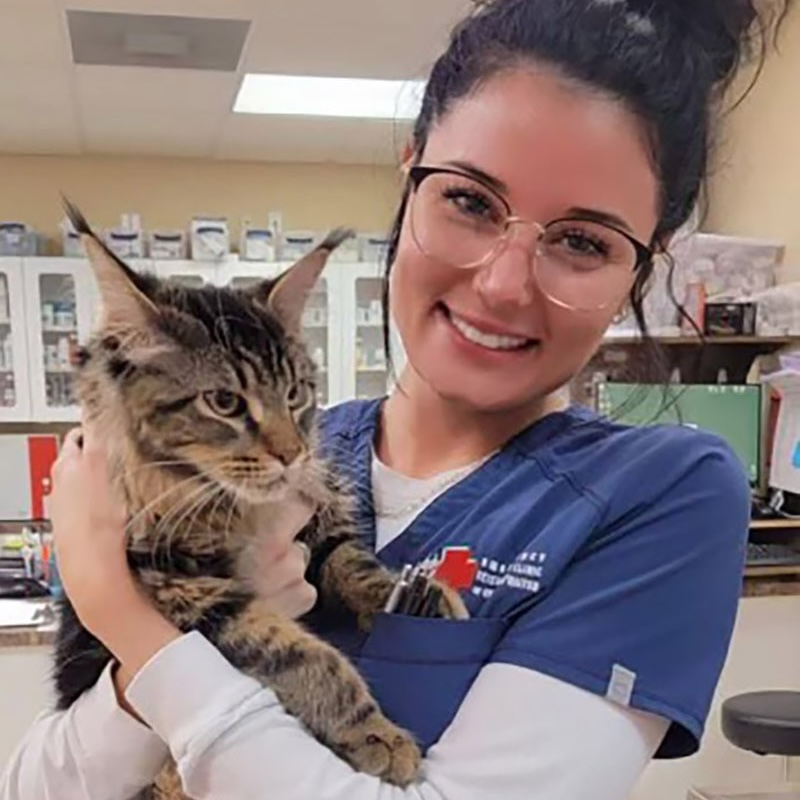 Meet our teammate - Abbie - Kindness Pet Hospital in Santa Rosa Beach Florida
