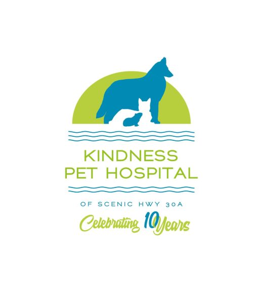 Kindness Pets Hospital Celebrating 10 years