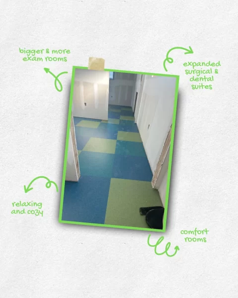 Kindness Pet Hospital New Construction