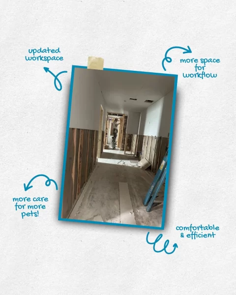 Kindness Pet Hospital New Construction