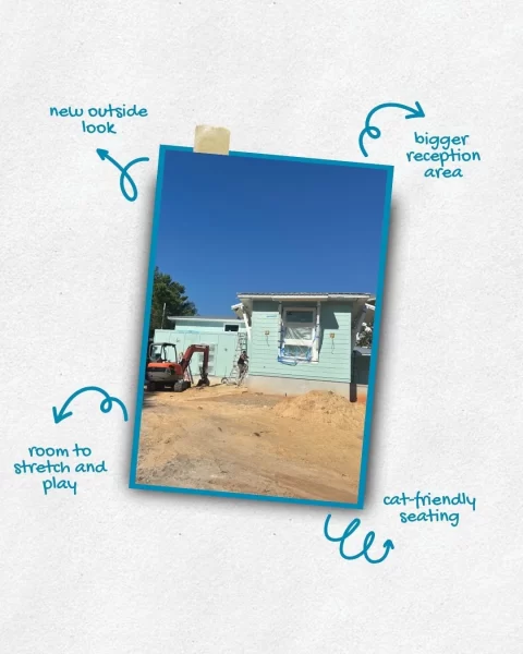 Kindness Pet Hospital New Construction