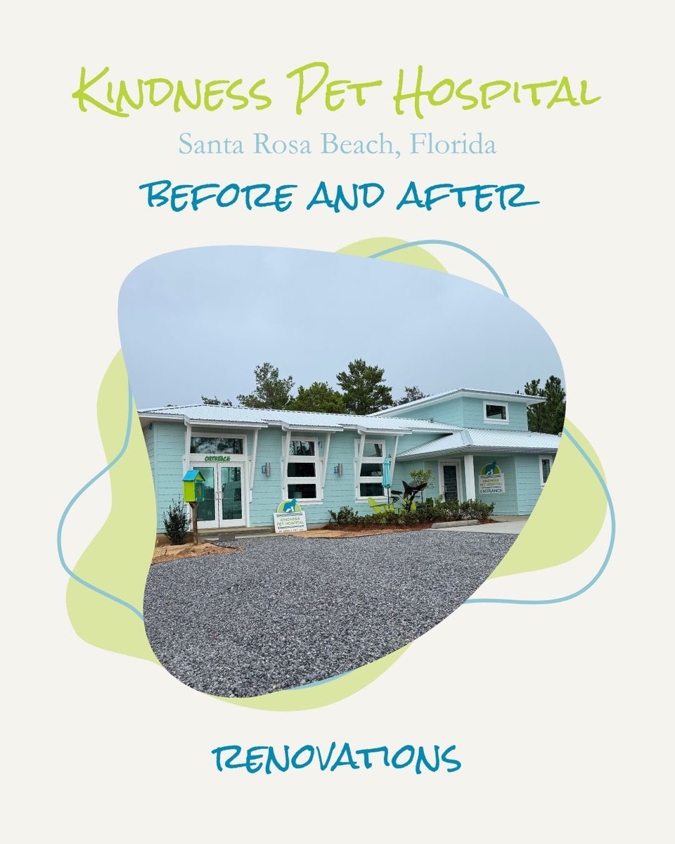 Kindness Pet Hospital - West 30A Location West 30A expansion completed