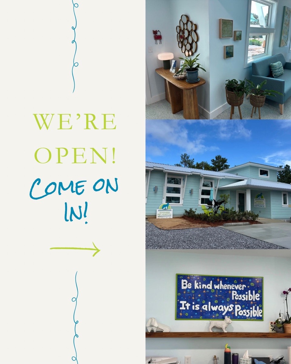 Kindness Pet Hospital - West 30A Location West 30A expansion completed
