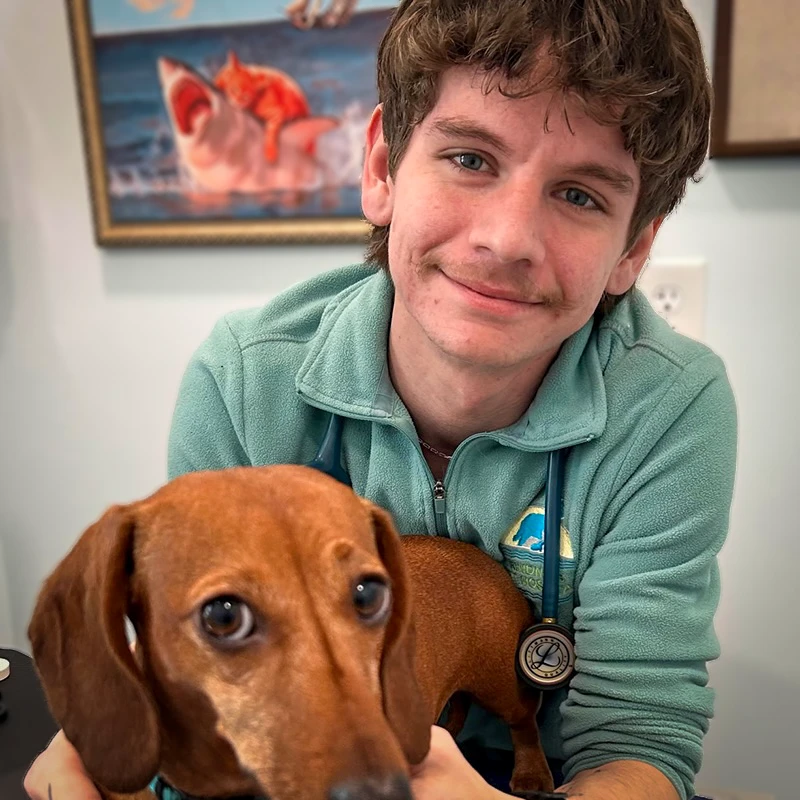 Kindness Pet Hospital Teammate Jacob
